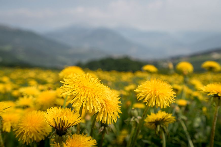 Natura latem i jesienią - wyjątkowe okolice jezior Garda i Ledro 7